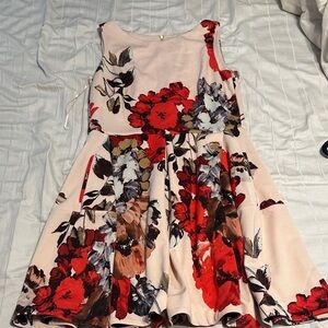 Taylor Red and Cream Floral Dress
